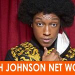 Josh Johnson's Net Worth 2024 A Deep Dive into the Comedian's Financial Success